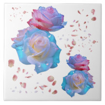 Vatten droppar på Rosa och blå Ro på vitt |