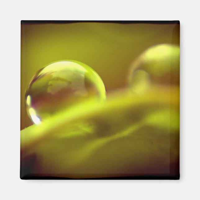 Vatten-droppmagnet Magnet (Framsidan)