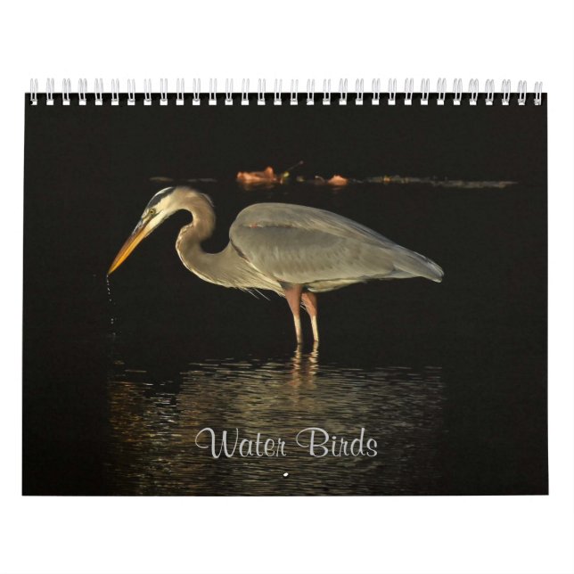 Vatten Fåglar 2 Kalender (Omslag)