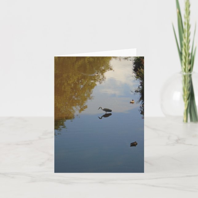 Vatten fåglar i Pollok Park, Glasgow Kort (Framsida)