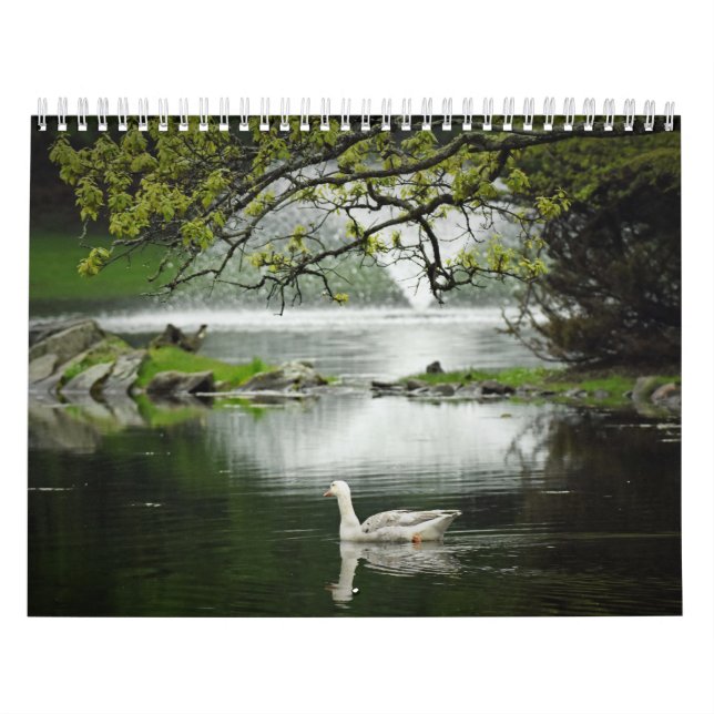 Vatten fåglar kalender (Omslag)
