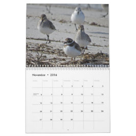 Vatten- fåglar kalender