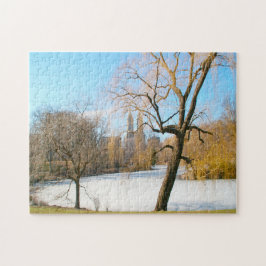 Vatten Feature Central Park New York Pussel