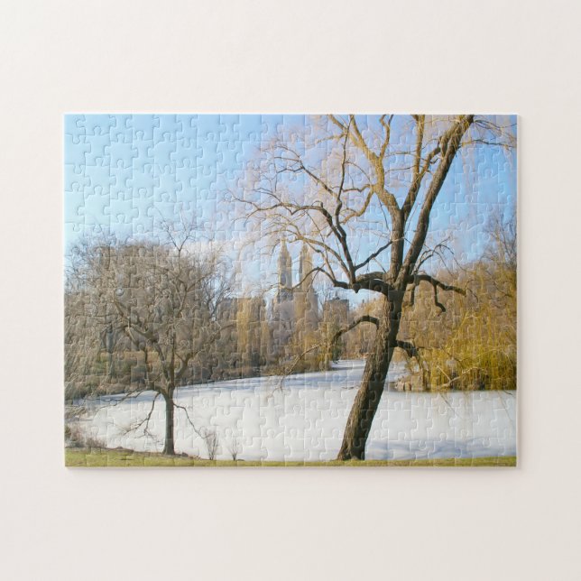 Vatten Feature Central Park New York Pussel (Horisontell)