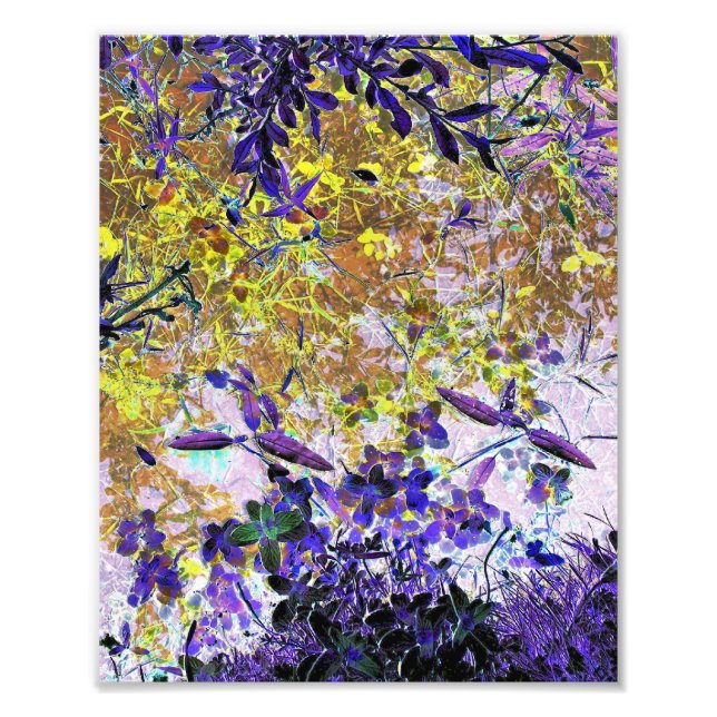 VATTEN FOTOTRYCK (Framsidan)