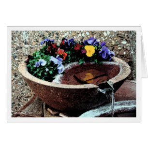 Vatten Garden Hälsningskort