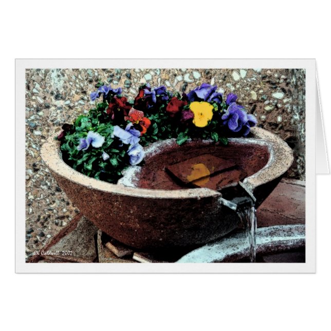 Vatten Garden Hälsningskort (Framsidan Horizontal)