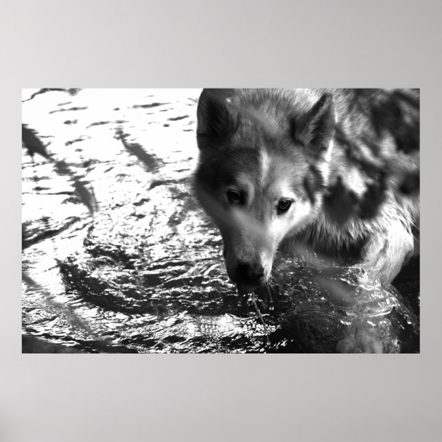 Vatten Hål Poster (Framsidan)