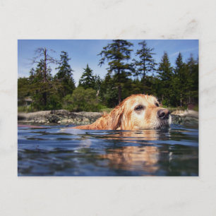 Vatten Hund - vykort