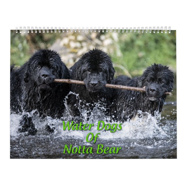 Vatten Hundar i Notta Bear Kalender (Omslag)