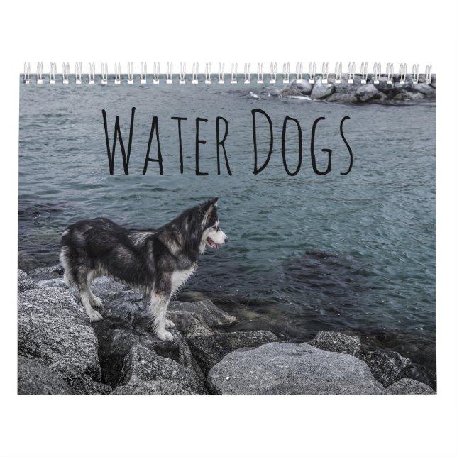 Vatten Hundar Kalender (Omslag)