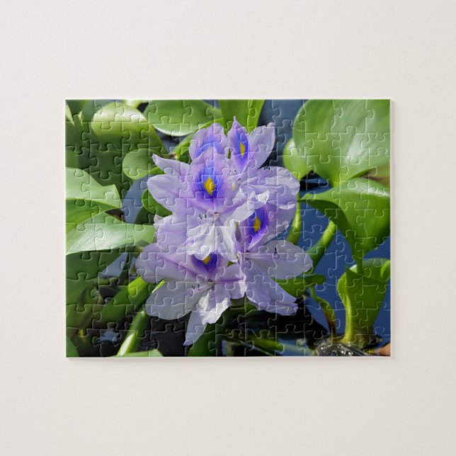Vatten Hyacint Lavender Flower Puzzle Pussel (Horisontell)