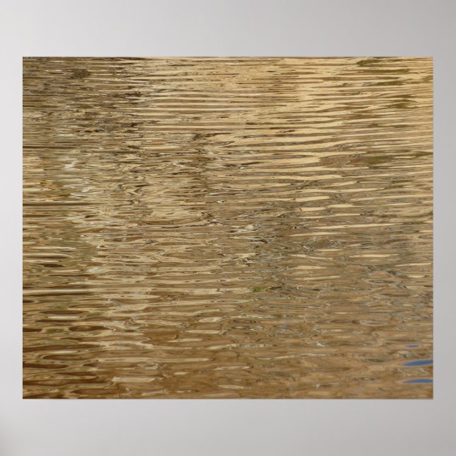 Vatten i Barker Dam i nationalparken Joshua Träd Poster (Framsidan)