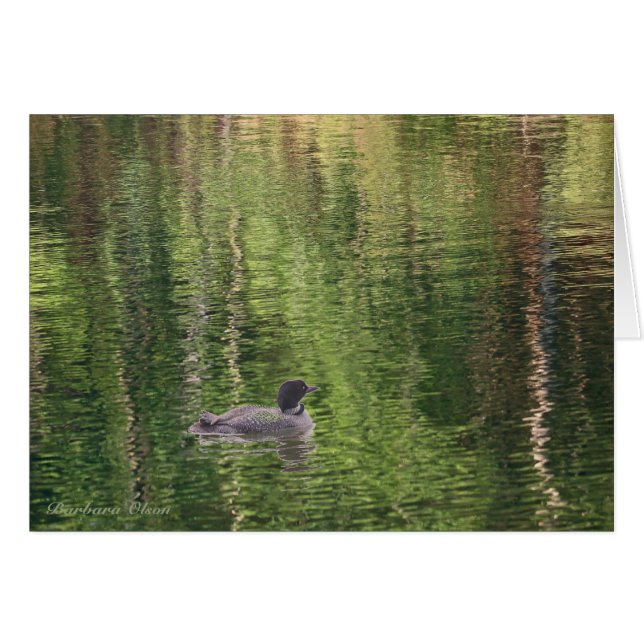 Vatten i Walden Pond - Common Loon Hälsningskort (Framsidan Horizontal)