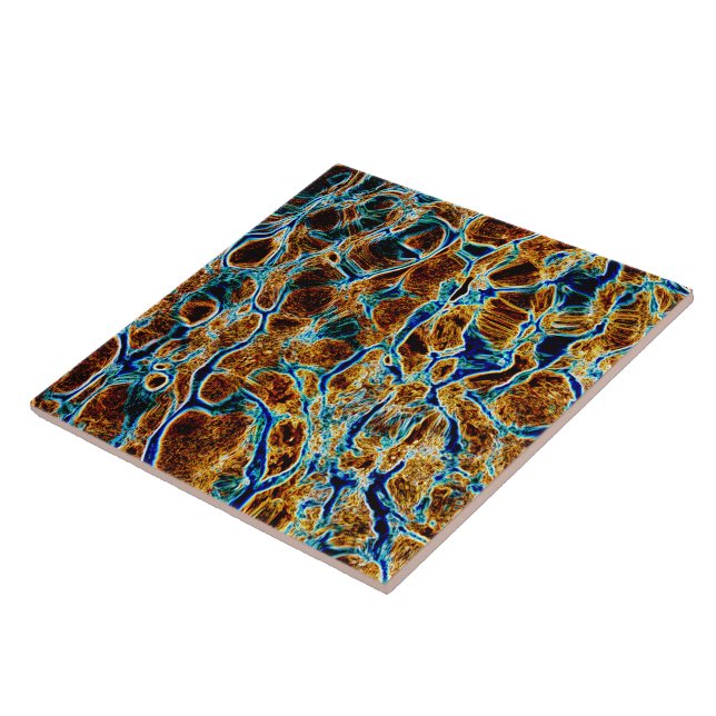 VATTEN KAKELPLATTA (Sidan)