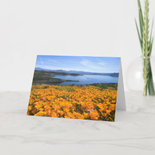 Vatten Kalifornien Sjö med gyllene Poppies Kort