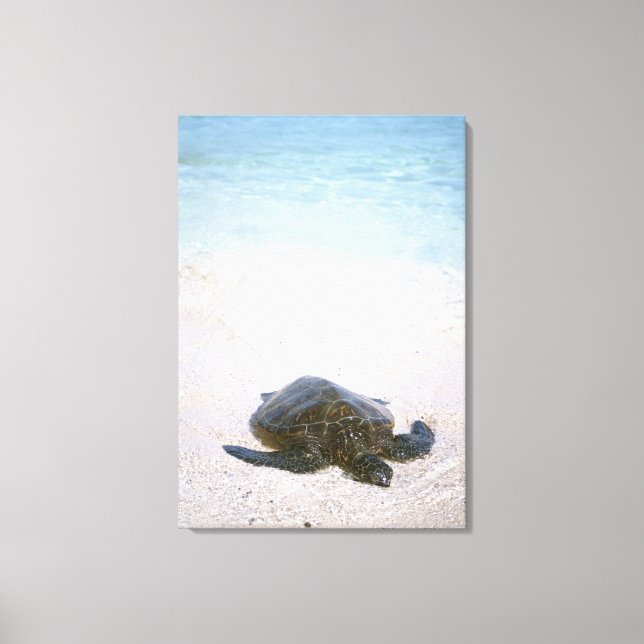 Vatten kant canvastryck (Framsida)