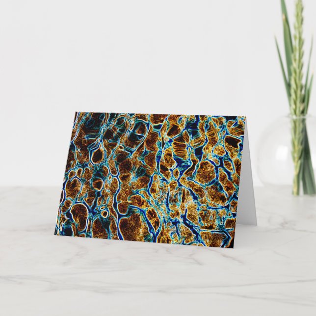 VATTEN KORT (Framsida)