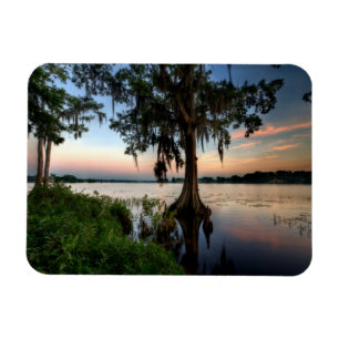 Vatten Kraft Azalea Park Maitland Florida Magnet