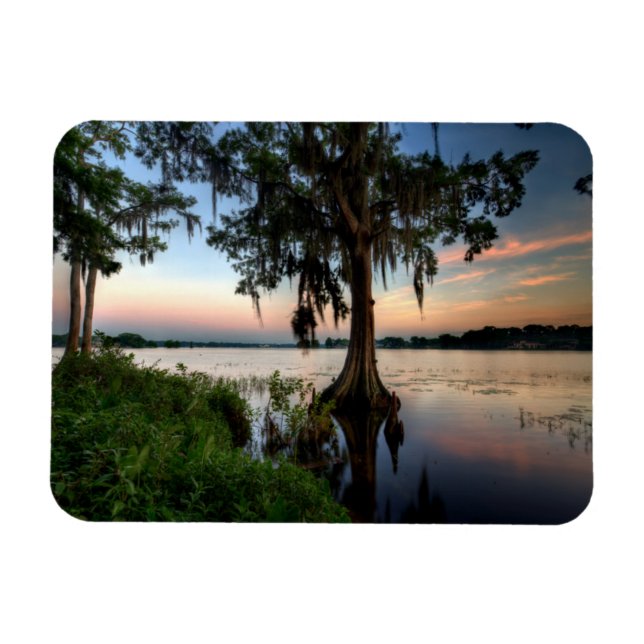 Vatten | Kraft Azalea Park Maitland Florida Magnet (Horisontell)