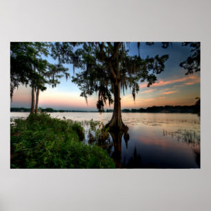 Vatten Kraft Azalea Park Maitland Florida Poster