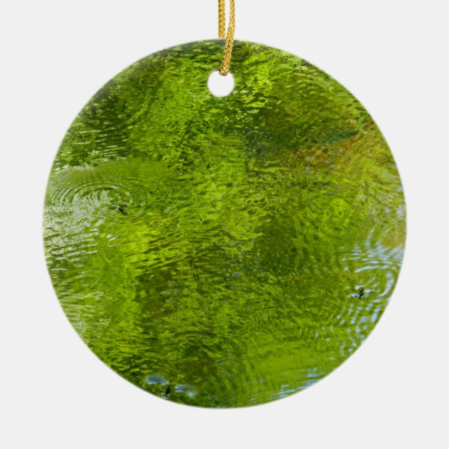 Vatten Kryp vid statliga parken Laurel Backe Julgransprydnad Keramik (Framsidan)