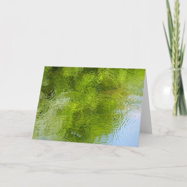 Vatten Kryp vid statliga parken Laurel Backe Kort (Framsida)