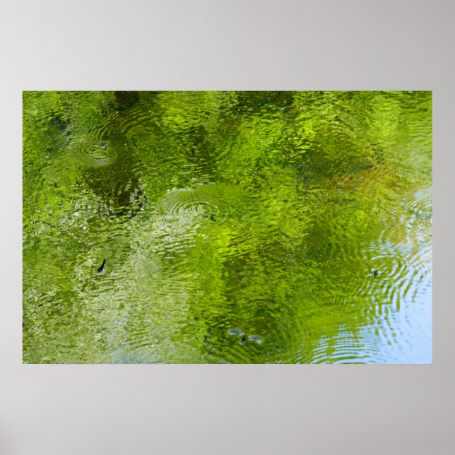 Vatten Kryp vid statliga parken Laurel Backe Poster (Framsidan)