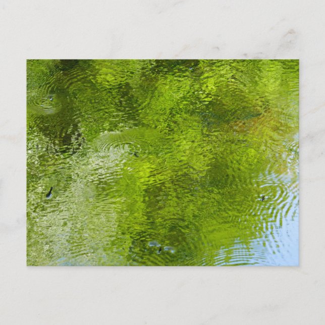 Vatten Kryp vid statliga parken Laurel Backe Vykort (Framsida)