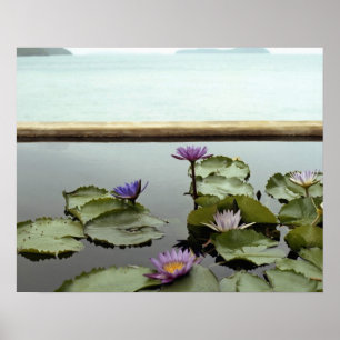 Vatten lever i dammen vid havet poster
