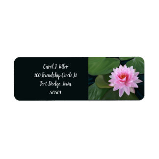 Vatten Lilies Adressetiketter Returadress Etikett