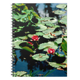 Vatten Lilies Anteckningsbok