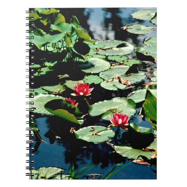 Vatten Lilies Anteckningsbok (Framsidan)