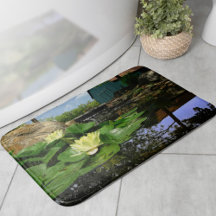 Vatten Lilies i Pond