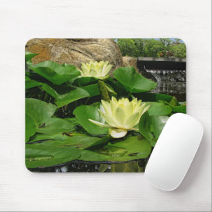Vatten Lilies i Pond Musmatta