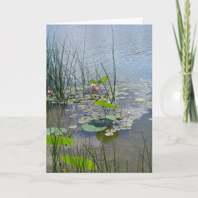 Vatten Lilies i Pond Tack Kort (Framsida)