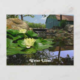 Vatten Lilies i Pond Vykort