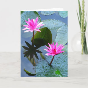 Vatten Lilies Kort