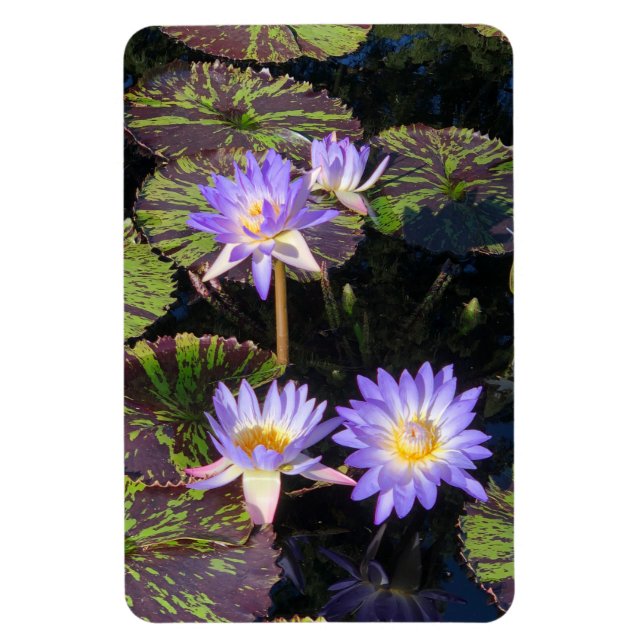 Vatten Lilies Magnet (Vertikal)