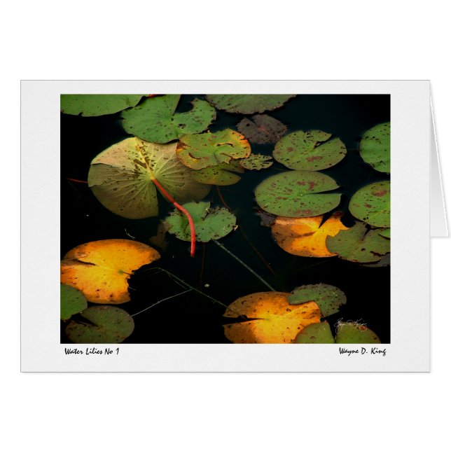 Vatten Lilies nr 1 Hälsningskort (Framsidan Horizontal)