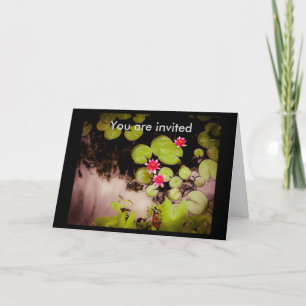 Vatten lilies och koipond inbjudan