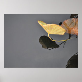 Vatten Lilies Poster