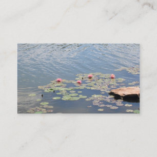 Vatten Lilies vid Vatten Visitkort