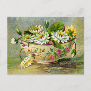 Vatten Lilies Vykort