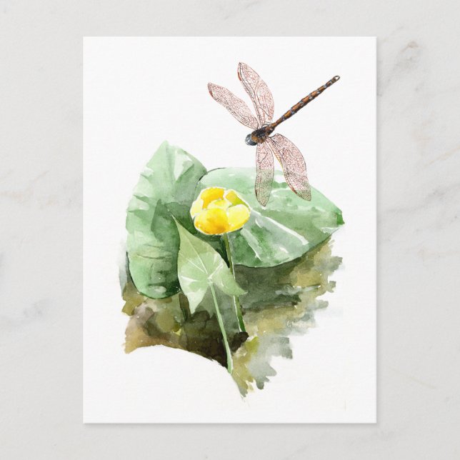 vatten-liljets vattenfärg vykort (Framsida)