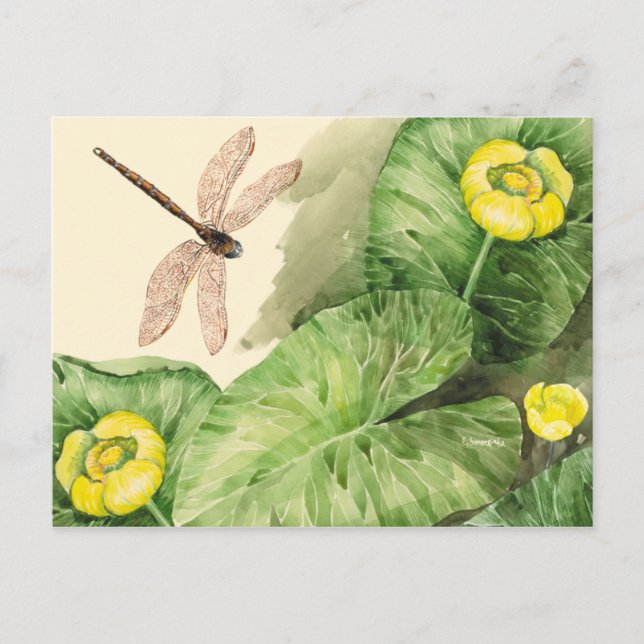 vatten-liljets vattenfärg vykort (Framsida)