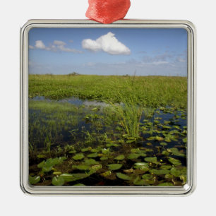 Vatten liljor och såggräs i Florida everglades Julgransprydnad Metall