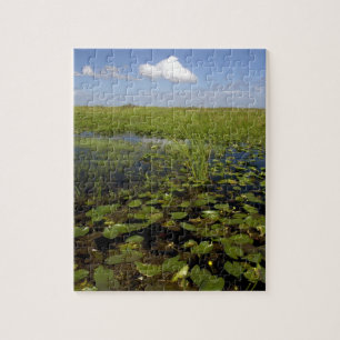Vatten liljor och såggräs i Florida everglades Pussel