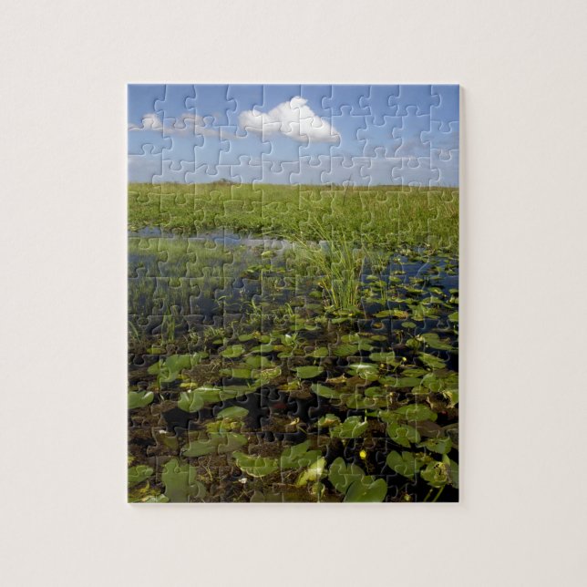 Vatten liljor och såggräs i Florida everglades Pussel (Vertikal)