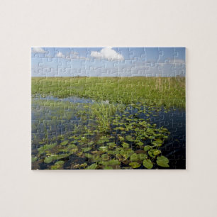 Vatten liljor och såggräs i Florida everglades Pussel